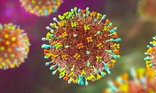 Đà Nẵng: Chủ động ứng phó nguy cơ dịch bệnh do virus Nipah