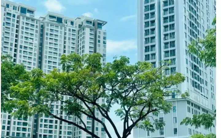 Quý 4/2025 xác lập kỷ lục mới về nguồn cung căn hộ tại Hà Nội và TP.Hồ Chí Minh