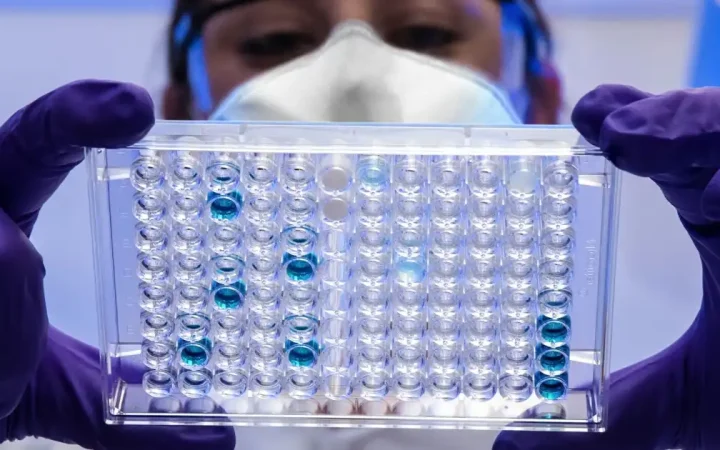 Châu Á cảnh giác trước đợt tái xuất của virus Nipah tại Ấn Độ