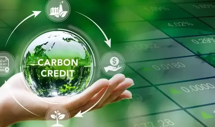 Việt Nam chính thức hình thành sàn giao dịch carbon trong nước