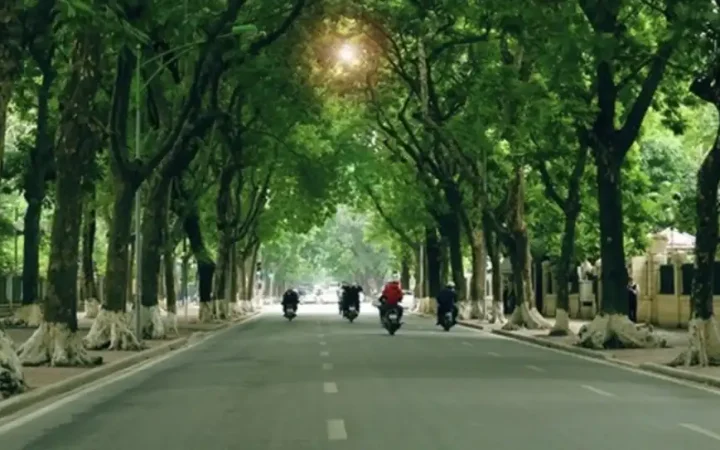 Hà Nội phấn đấu trồng mới hơn 400.000 cây xanh trong năm 2026