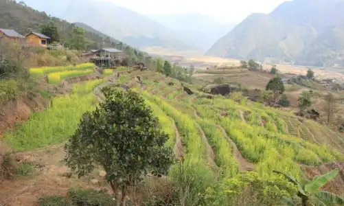 Ô Quy Hồ mở cửa mây, rẻo cao Lai Châu thức giấc cùng du lịch xanh