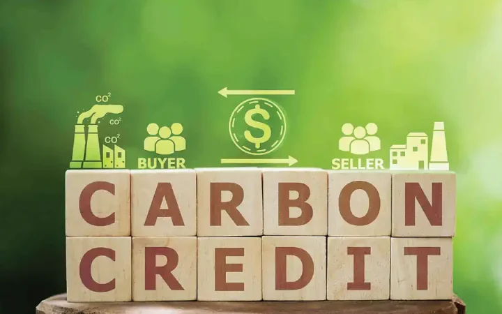 Tạo hành lang pháp lý đầy đủ để phát triển thị trường carbon