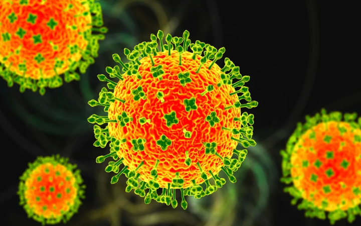 Việt Nam chưa ghi nhận trường hợp mắc bệnh do virus Nipah