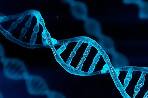 Phát hiện gene giúp tế bào ung thư thoát khỏi sự tấn công của hệ miễn dịch