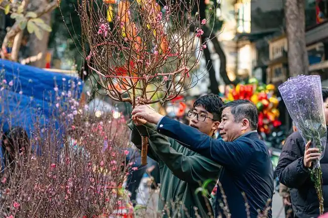 Hành xử văn minh ngày Tết trong kỷ nguyên mới: Pháp luật và văn hóa trong đời sống người dân