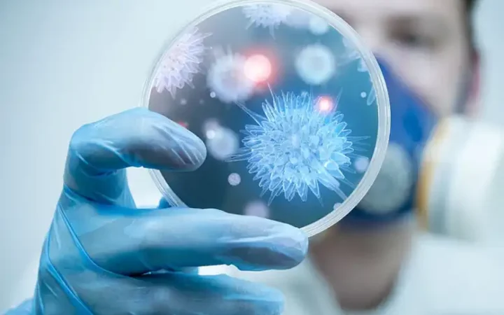 Bộ Y tế thông tin về dịch bệnh do virus Nipah và các biện pháp phòng chống