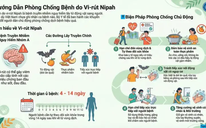 Sơn La tăng cường giám sát, phòng chống dịch bệnh do vi rút Nipah