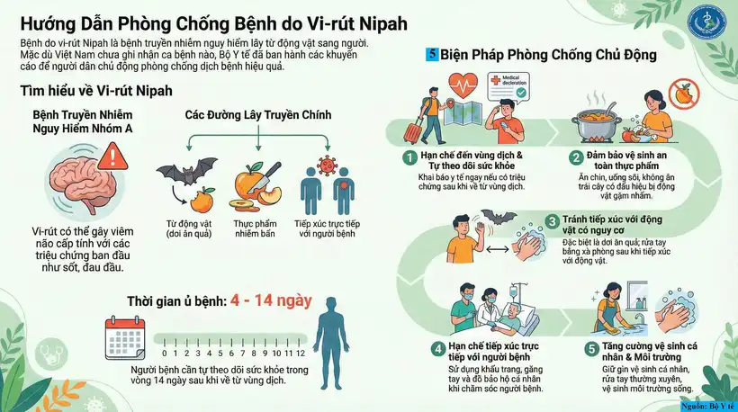 Sơn La tăng cường giám sát, phòng chống dịch bệnh do vi rút Nipah