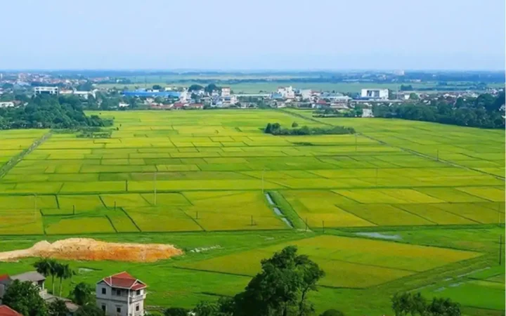 Quy định thẩm quyền của UBND cấp tỉnh trong lĩnh vực đất đai