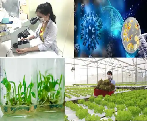 Năm 2028, sẽ có bộ chỉ tiêu thống kê công nghệ sinh học phục vụ phát triển