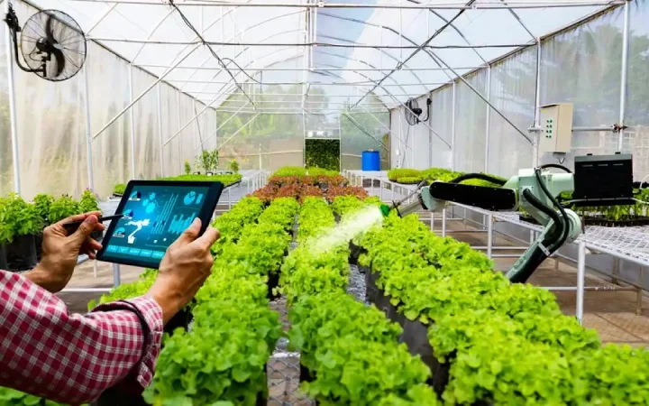 Hoàn thiện hành lang pháp lý cho khu nông nghiệp ứng dụng công nghệ cao