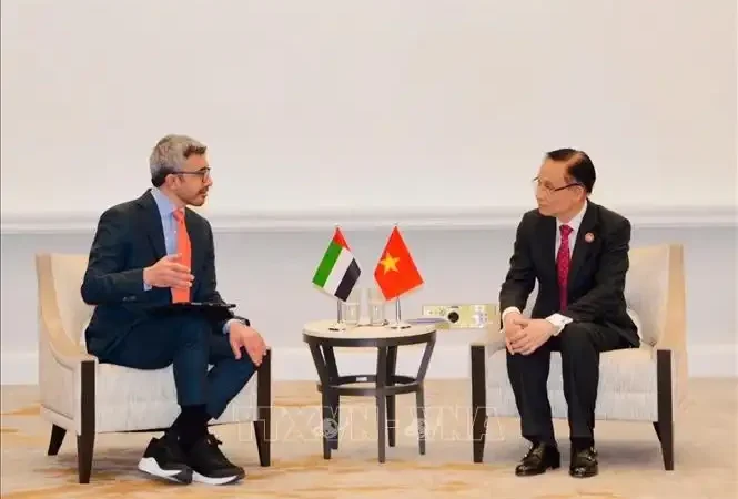 Bộ trưởng Ngoại giao Lê Hoài Trung gặp Bộ trưởng Ngoại giao UAE, Ai Cập và Thổ Nhĩ Kỳ
