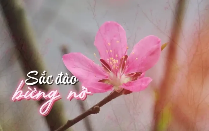 Động lực mới cho du lịch và kinh tế vùng biên