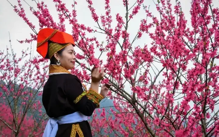 Rực rỡ Lễ hội “Sắc đào xứ Lạng – kết nối muôn phương”
