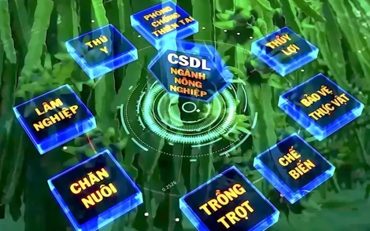 Sơn La triển khai thi hành Luật Chuyển đổi số