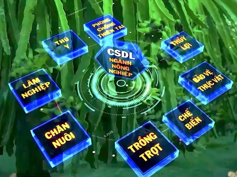 Sơn La triển khai thi hành Luật Chuyển đổi số