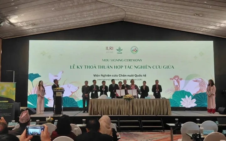 Chuyển đổi chăn nuôi bền vững: Động lực cho hệ thống lương thực tương lai