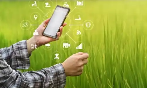 Thúc đẩy ứng dụng Blockchain và AI trong minh bạch và nâng cao giá trị nông sản