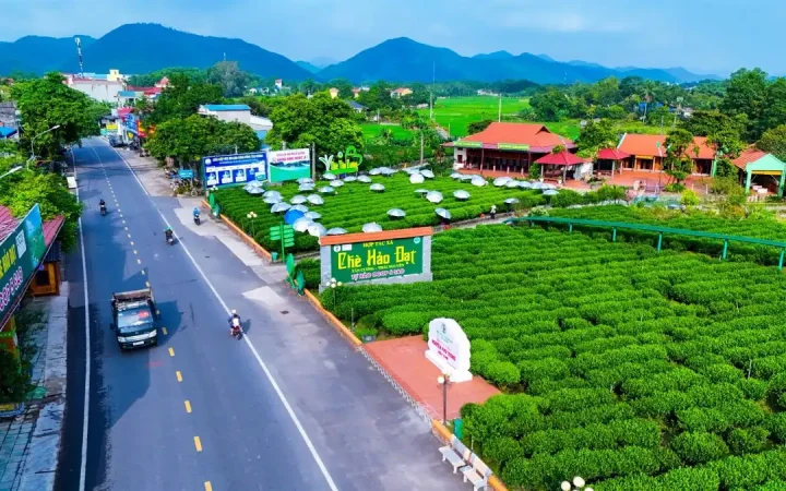 Phát triển trồng trọt phát thải thấp, sản xuất theo chuỗi giá trị tuần hoàn