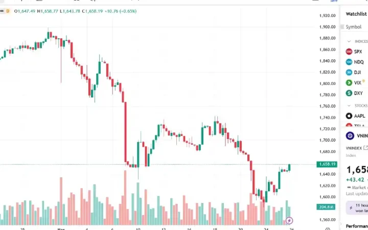 VN-Index tăng 43 điểm, thị trường vẫn trong giai đoạn dò đáy?
