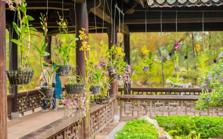 Về Huế mùa Festival, dạo “vườn nghệ thuật” giữa Hoàng cung