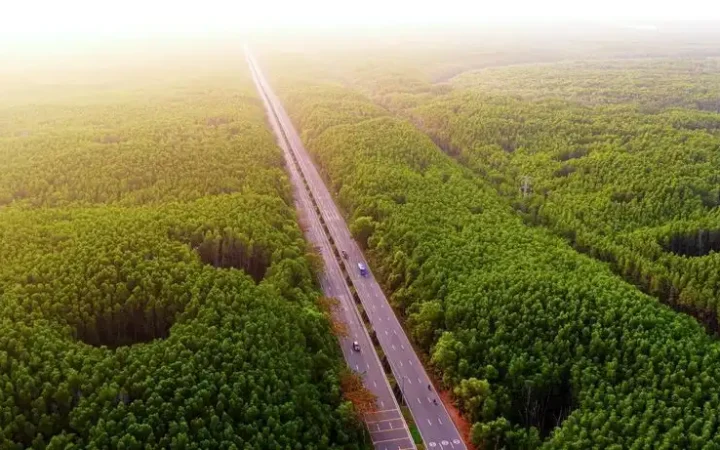Khám phá cung đường chạy đẹp nhất Việt Nam: băng rừng di sản, xuyên ‘kỳ quan đô thị biển’ tại Cần Giờ