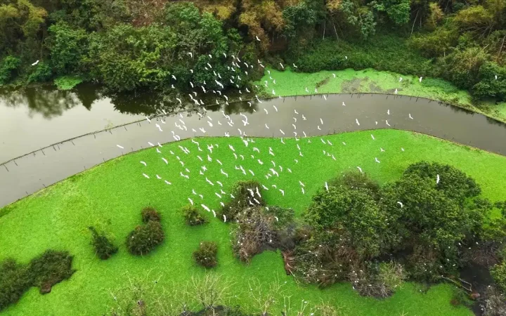 Du lịch hè “nóng” sớm, doanh nghiệp tập trung vào tour chặng gần