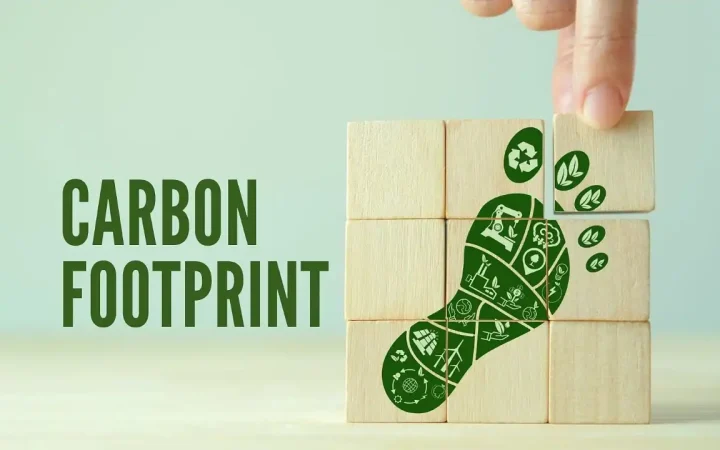 Triển khai nhãn carbon cho doanh nghiệp Việt Nam