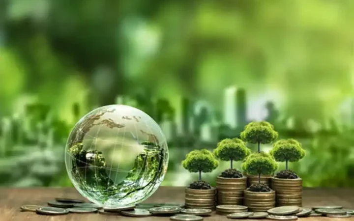 Tín chỉ carbon Việt Nam – Lớp đầu tư tài sản tiềm năng mới