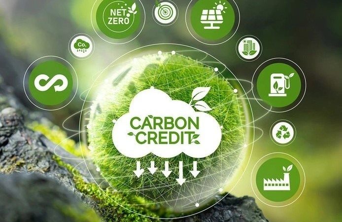 Tín chỉ carbon: Thị trường tỷ USD và lớp tài sản đầu tư tiềm năng mới