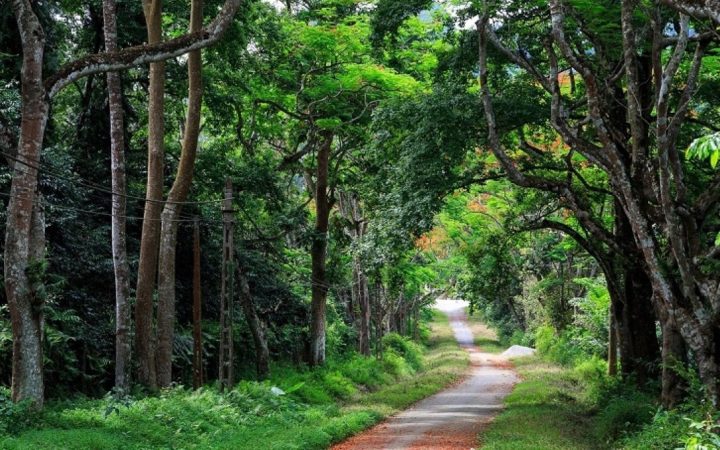 Sáp nhập vườn quốc gia, khu bảo tồn cần thận trọng để bảo vệ an ninh sinh thái