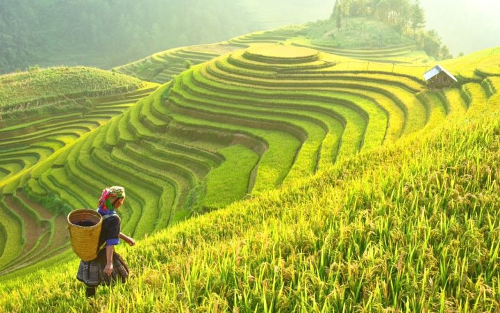 Du lịch Việt Nam được theo dõi sát sao nhất Đông Nam Á