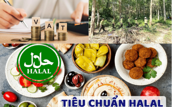 Một số chính sách mới của Chính phủ có hiệu lực từ tháng 6/2026