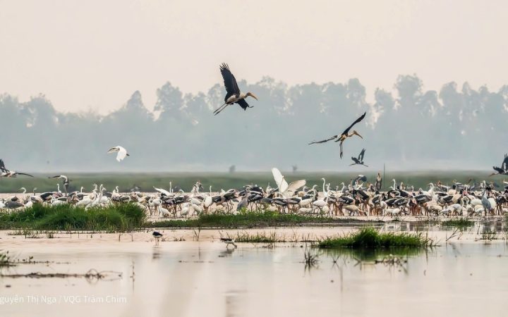 Việt Nam và WWF Hoa Kỳ tăng cường hợp tác bảo tồn thiên nhiên, ứng phó biến đổi khí hậu