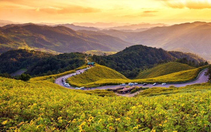 93% du khách Việt yêu thích du lịch tự lái xe