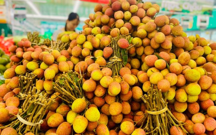 Vải thiều sắp “phủ đỏ” hệ thống bán lẻ hiện đại